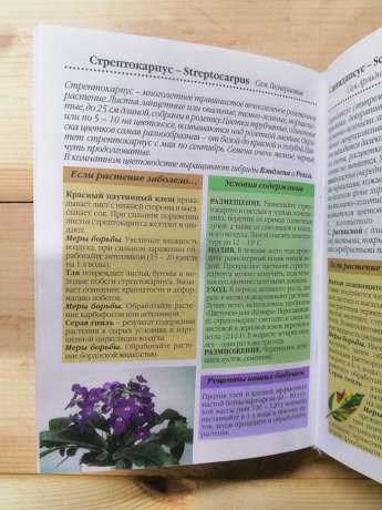 Догляд за кімнатними рослинами. Практичні поради любителям квітів - Воронцов В.В. 2002