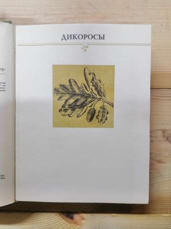 Розповіді про дерева Криму. Краєзнавчі нариси - Згуровська Л.М. 1984