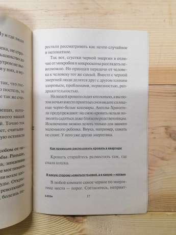 Одкровення ангелів-охоронців. Безпека вашого будинку - Гаріфзянов Р., Панова Л. 2009