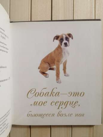 Собака - це моє серце, що б'ється біля ніг - Собака - Это Мое Сердце, Бьющееся Возле Ног 2007 Прайм-Еврознак