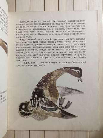 Жаба-мандрівниця. В.М. Гаршин - Лягушка-Путешественница 1984 Детская литература