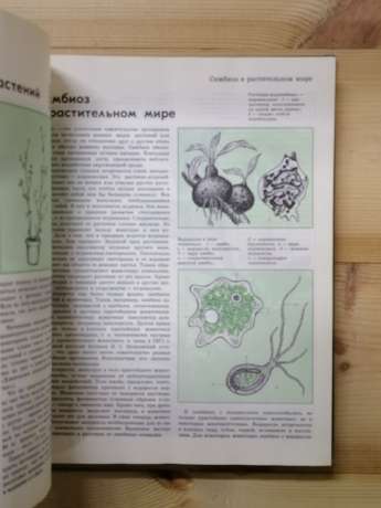Том 4: Рослини та Тварини. Дитяча енциклопедія в 12 томах. 1973