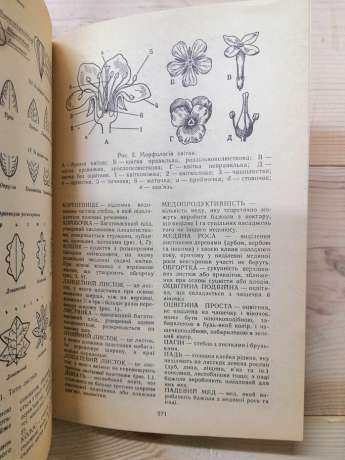 Дари лісів - Єлін Ю.Я., Зерова М.Я., Лушпа В.І., Шабарова С.І. 1983