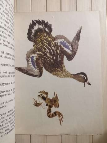 Жаба-мандрівниця. В.М. Гаршин - Лягушка-Путешественница 1984 Детская литература