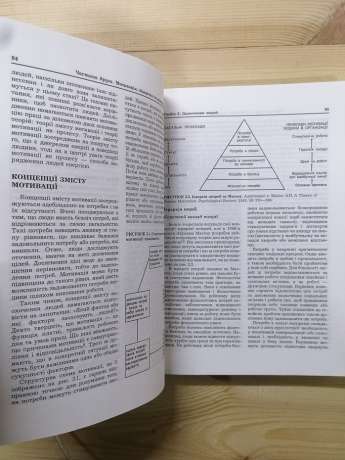 Менеджмент в охороні здоров'я. Структура та поведінка організацій охорони здоров'я - Шортел С.М., Калюжний А.Д. 1998