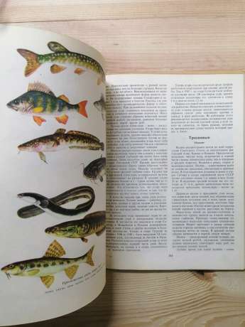 Настільна книга рибалки-спортсмена - 1974