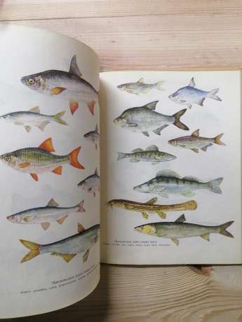 Настільна книга рибалки-спортсмена - 1974