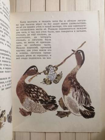 Жаба-мандрівниця. В.М. Гаршин - Лягушка-Путешественница 1984 Детская литература