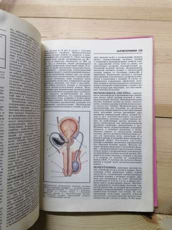 Сексологія. Енциклопедичний довідник - Ворник Б.М. 1993
